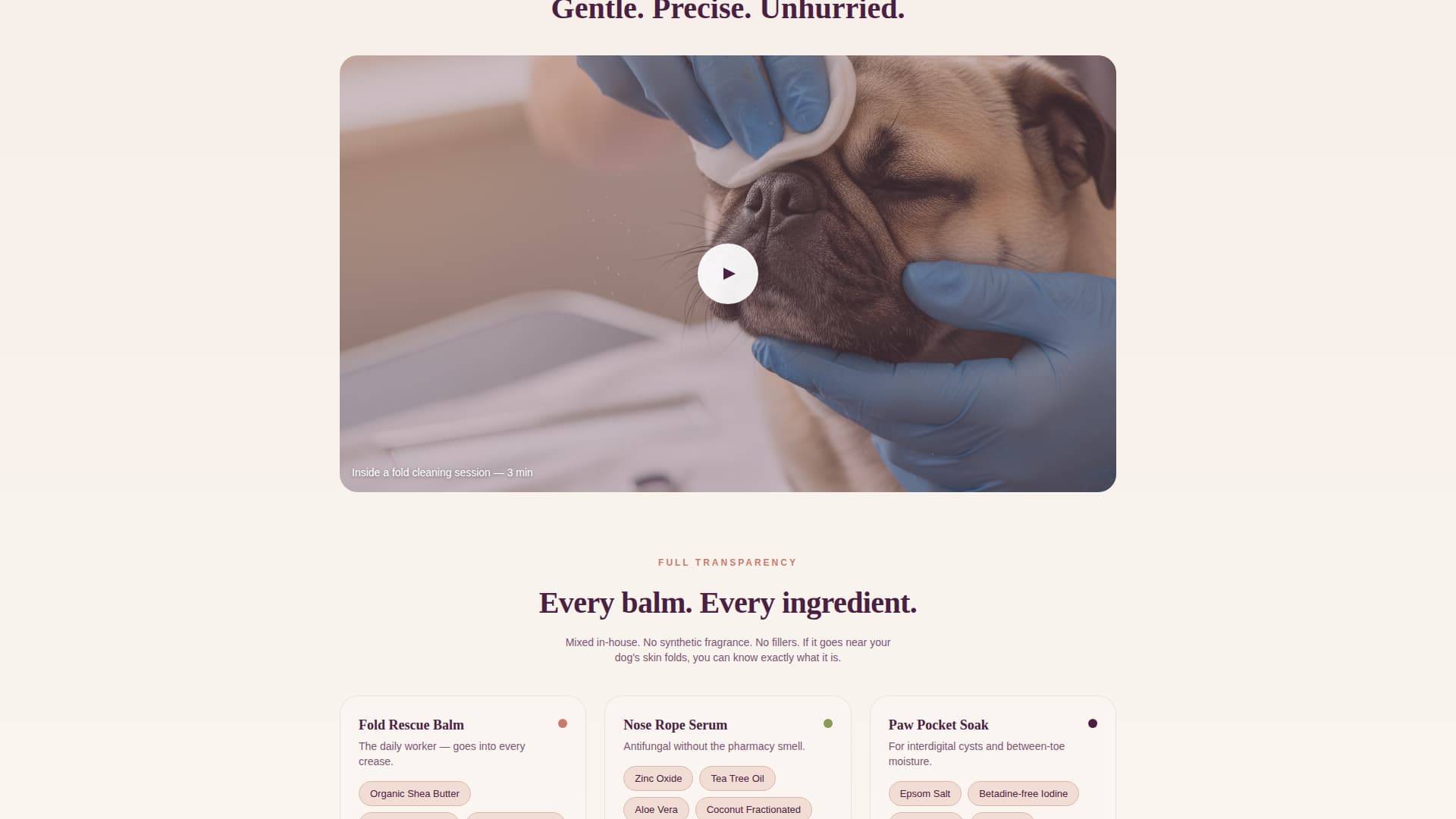 Dog Virtual Booking Website Template