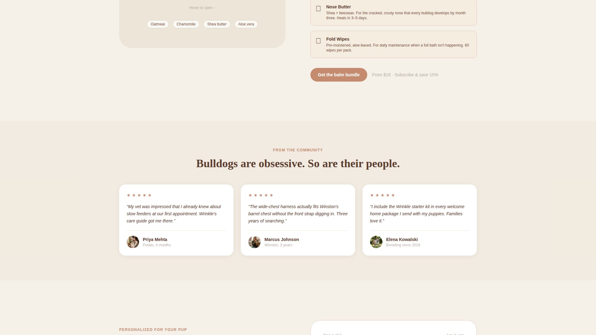 Dog Virtual Professional Website Template