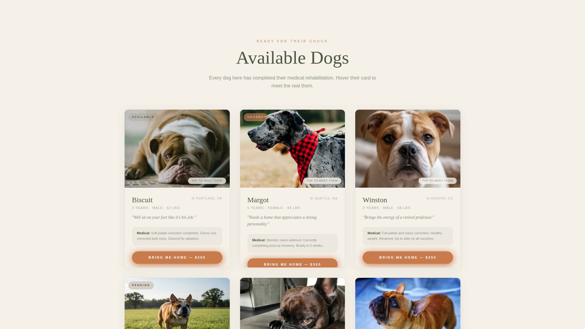 Dog Complete Pricing Website Template