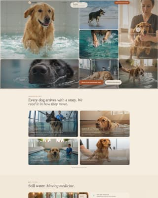 Animal Therapy & Booking Website Template