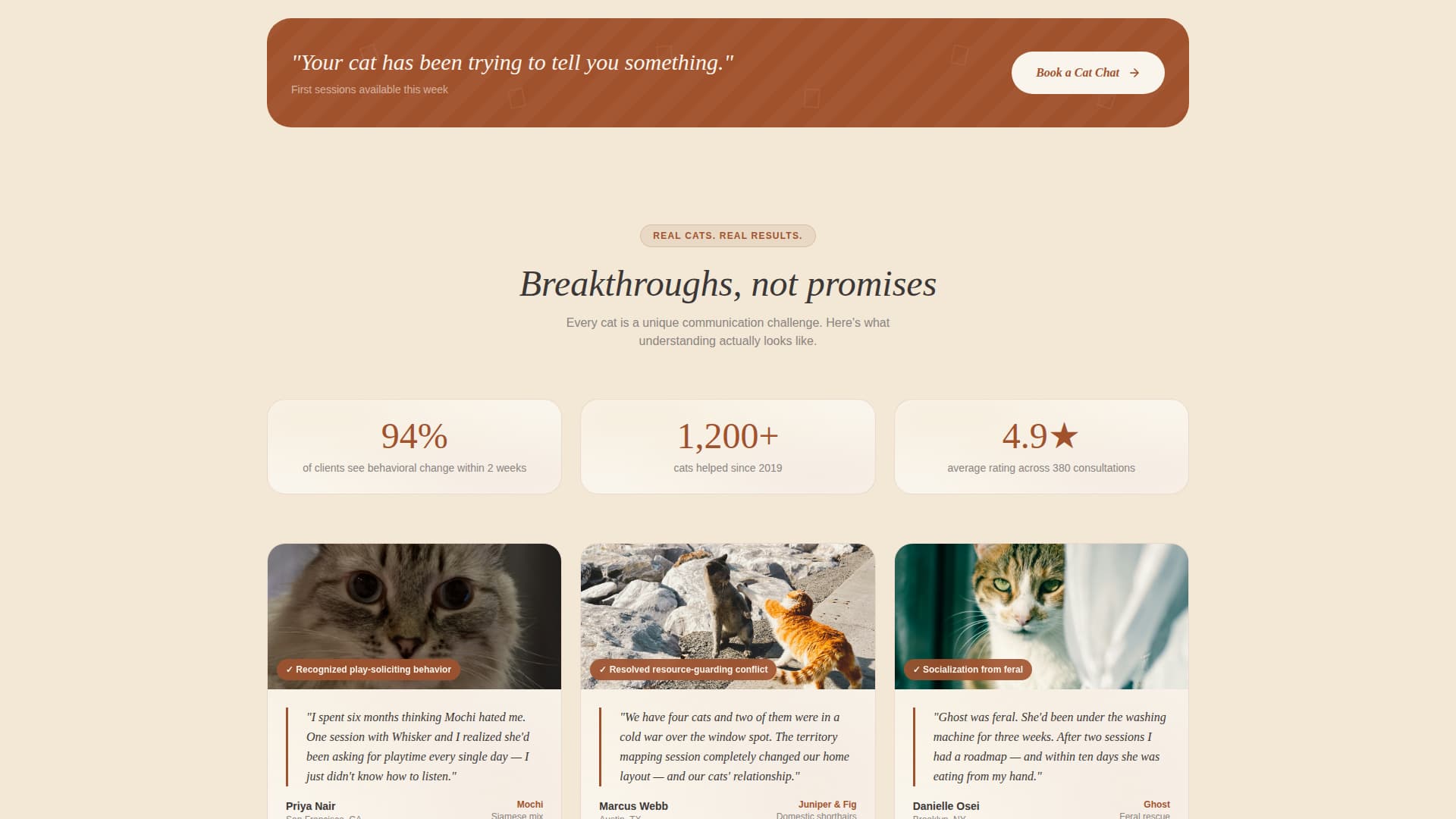 Cat Specialist Booking Website Template
