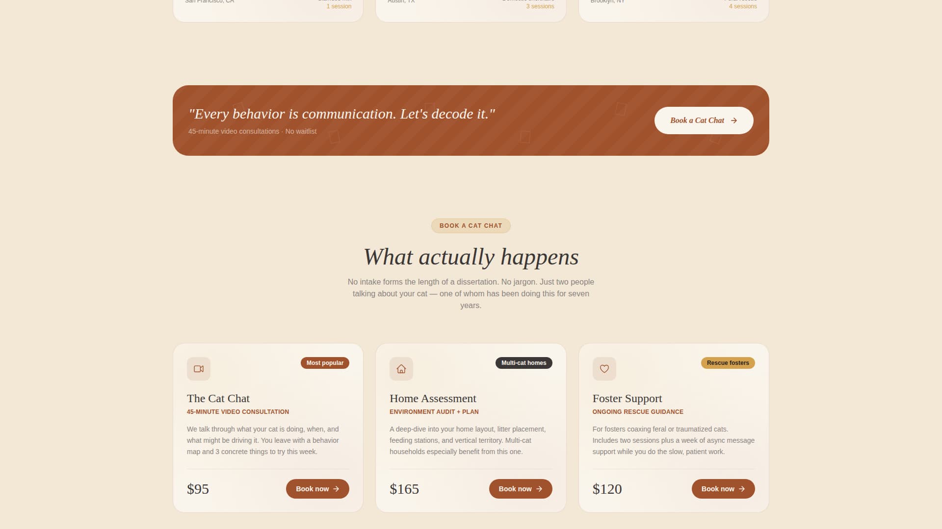 Cat Specialist Booking Website Template