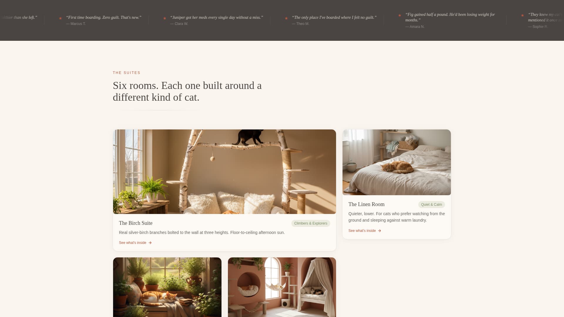 Lodge - Trusted Catboarding Landing Page Template