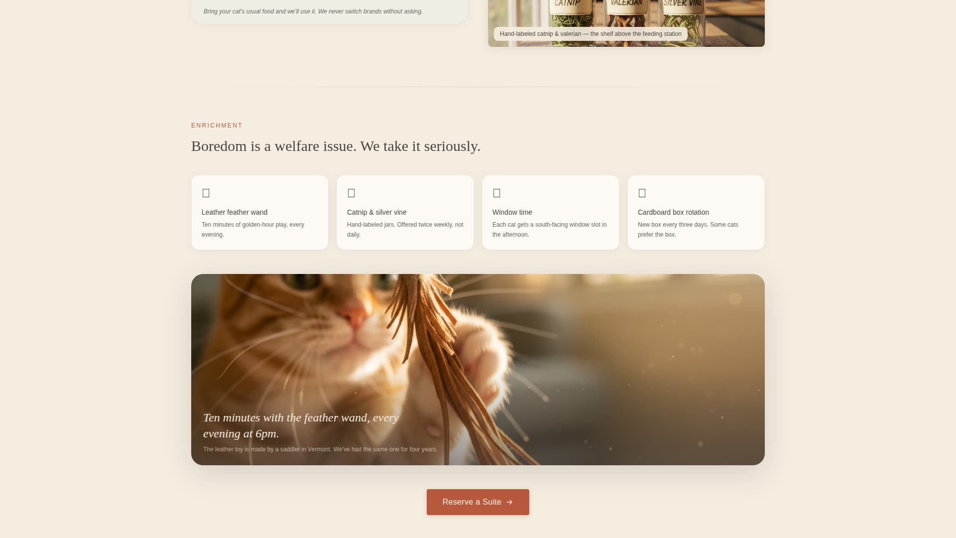 Lodge - Trusted Catboarding Landing Page Template