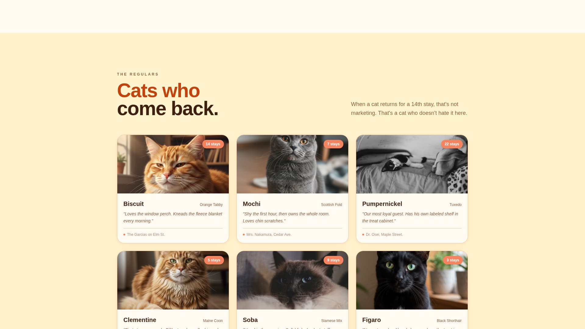 Cat Booking Website Template