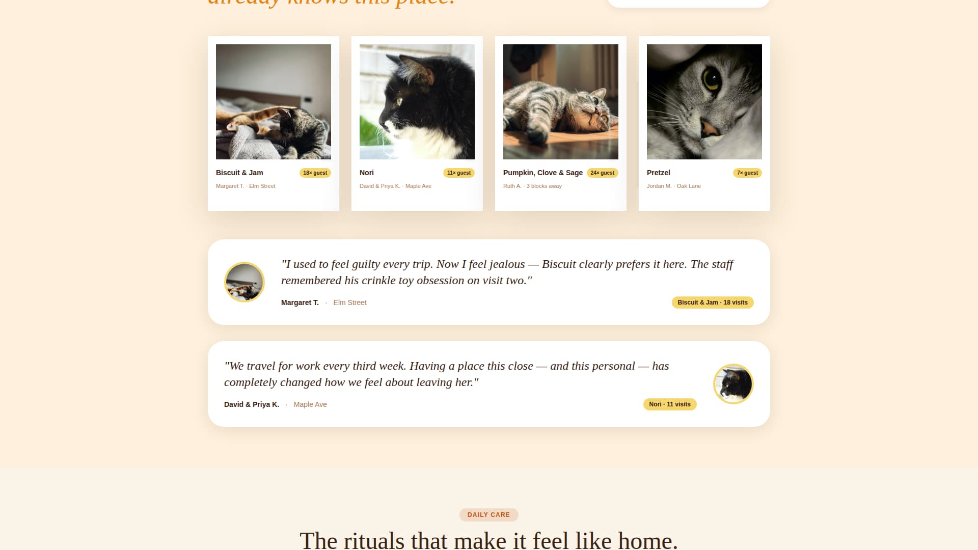 Cattery - Cozy Catboarding Landing Page Template