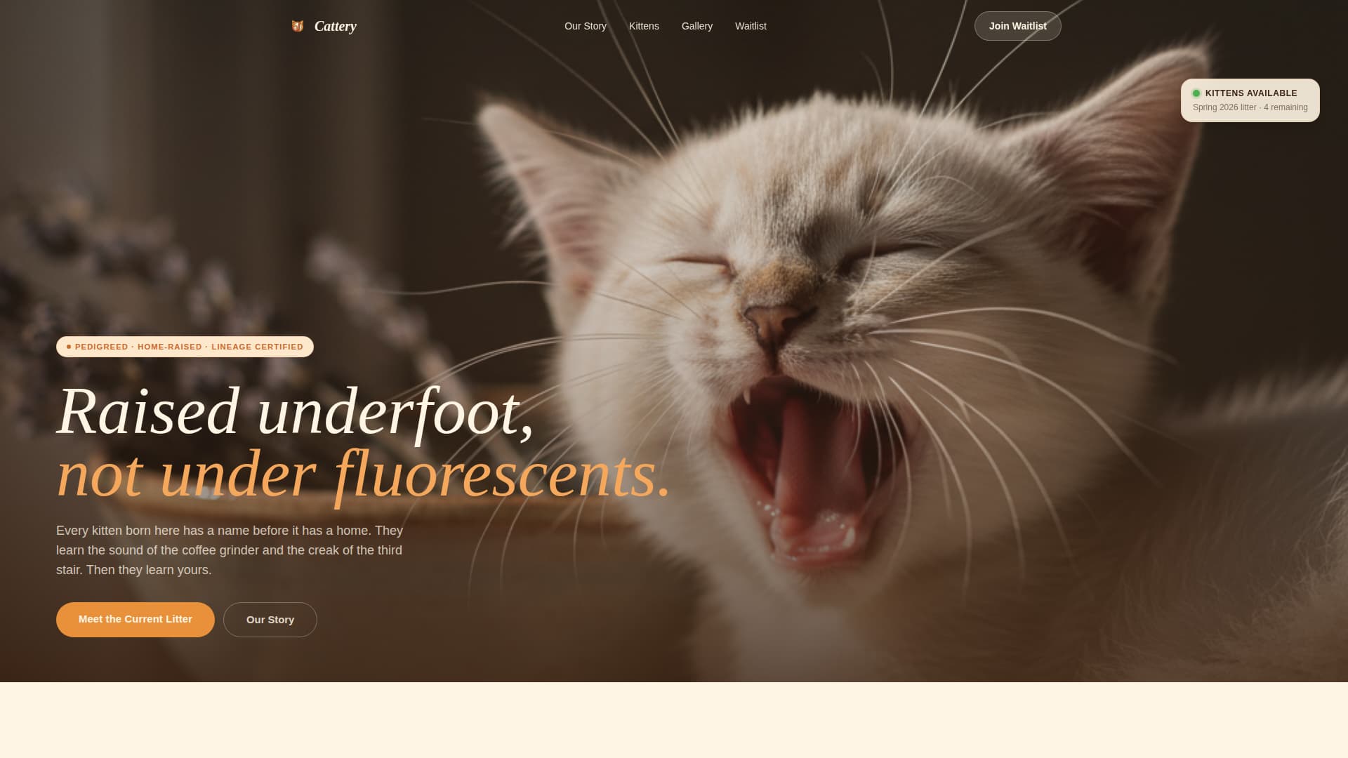 Cattery - Artisan Breeder Landing Page Template