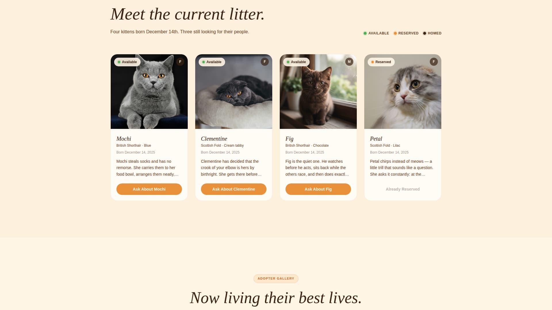 Cattery - Artisan Breeder Landing Page Template