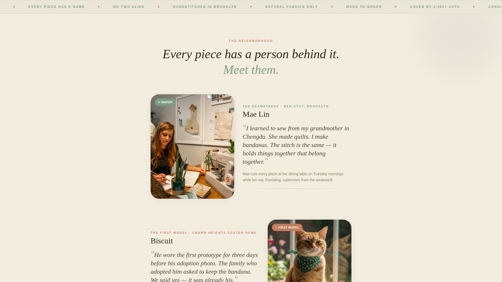 Whiskers - Charming Cataccessories Landing Page Template