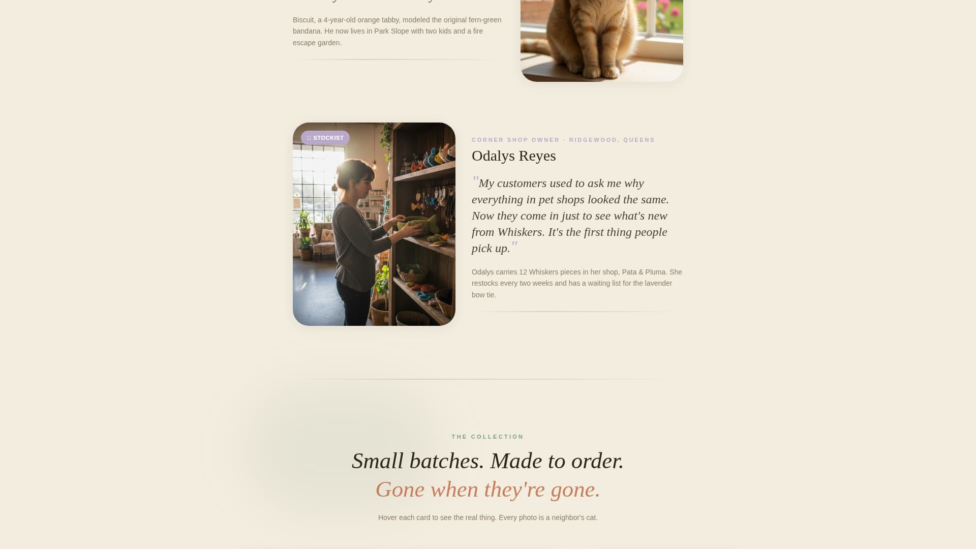 Whiskers - Charming Cataccessories Landing Page Template