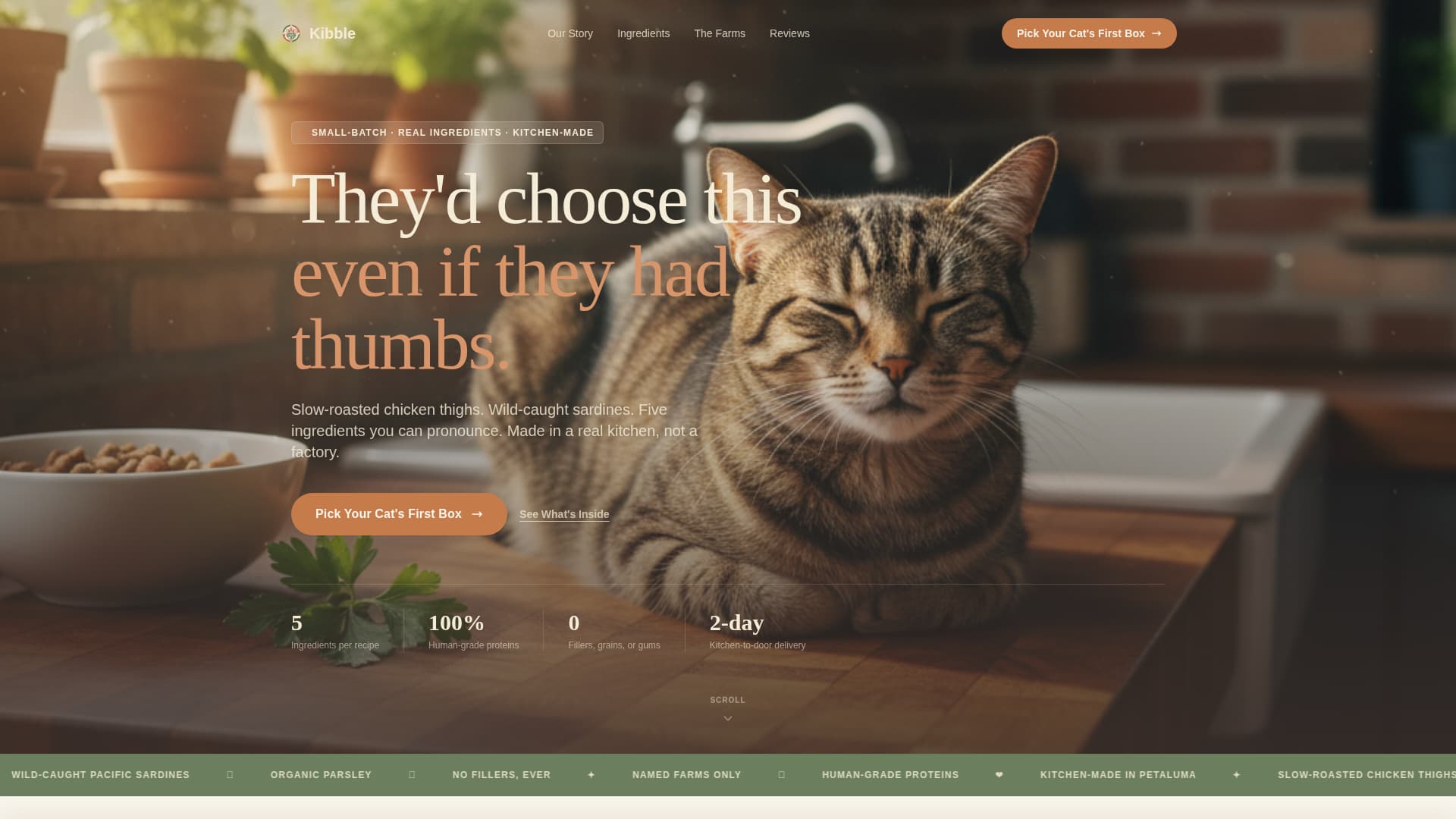 Kibble - Artisan Catfood Landing Page Template