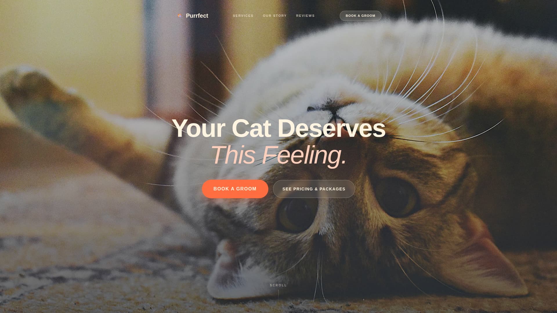 Purrfect - Irresistible Catgrooming Landing Page Template