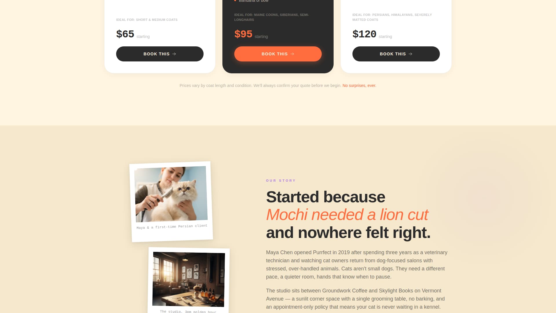 Purrfect - Irresistible Catgrooming Landing Page Template