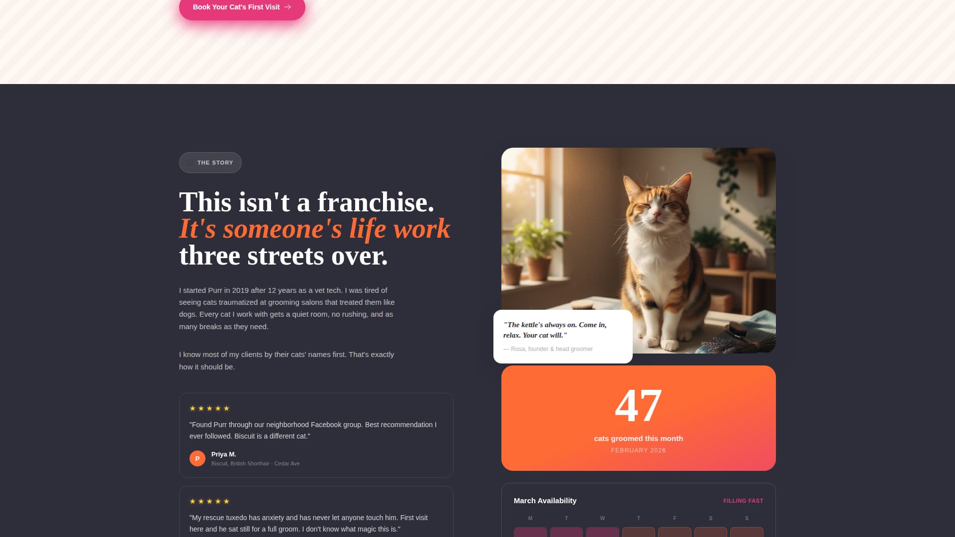 Purr - Cozy Catgrooming Landing Page Template
