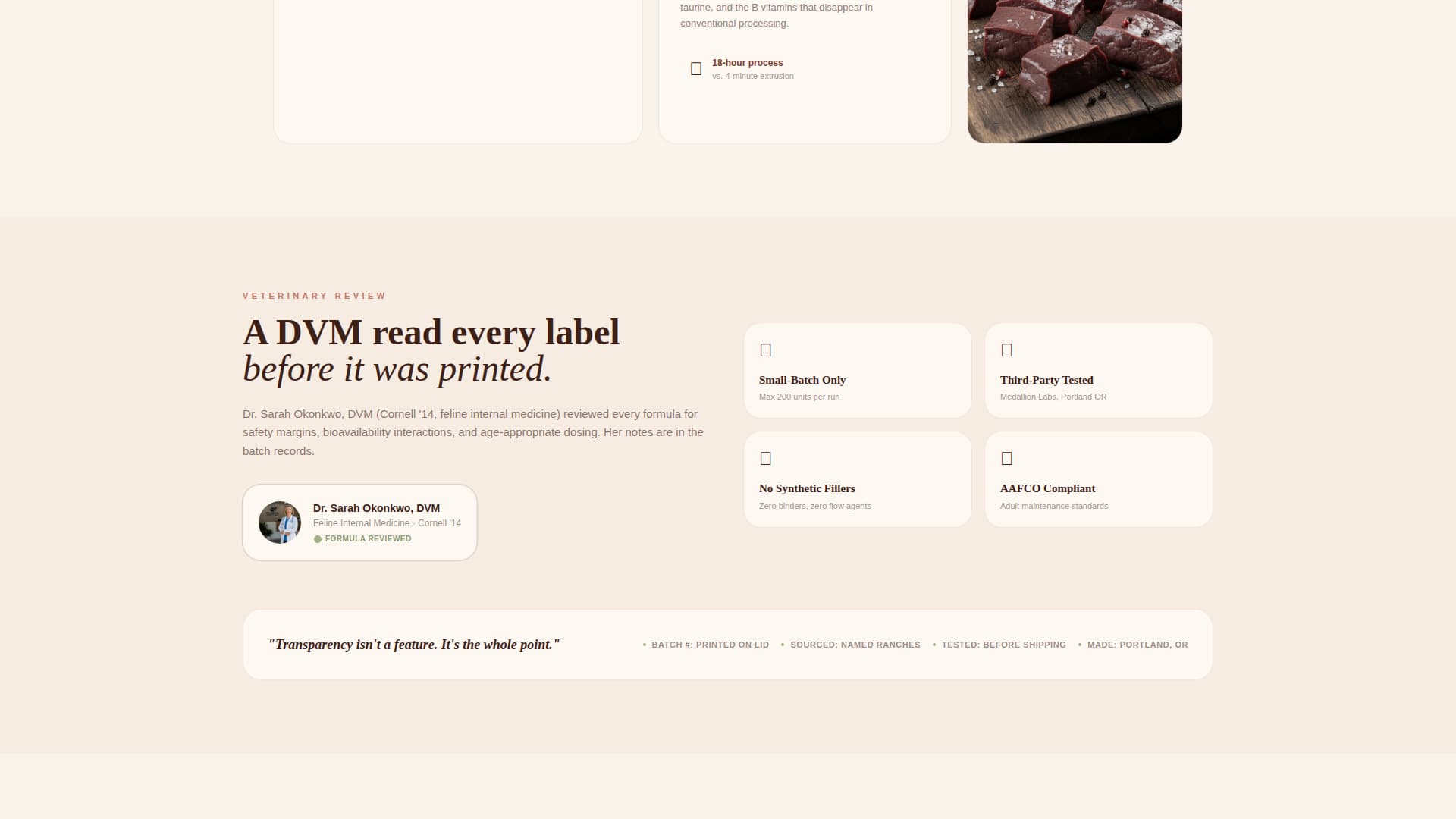 Cat Specialist Professional Website Template
