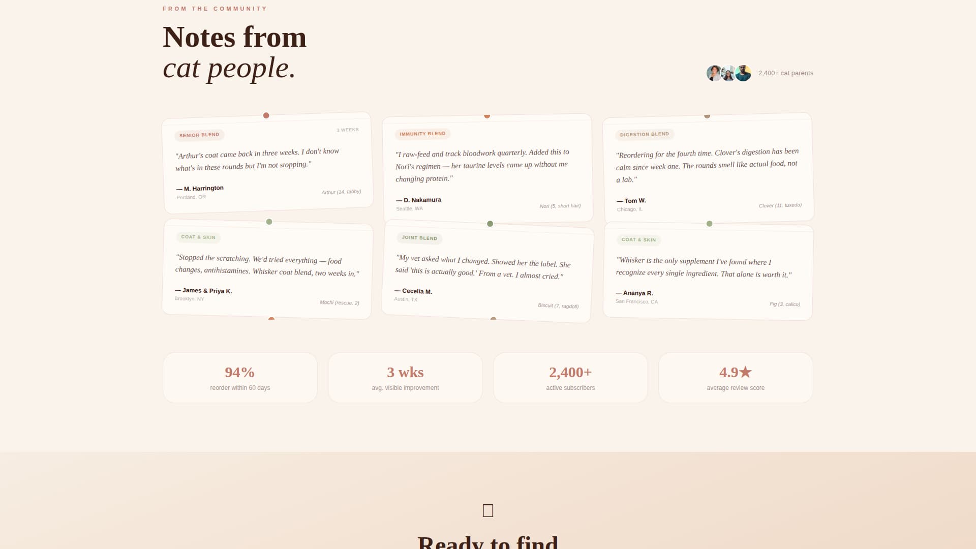 Cat Specialist Professional Website Template