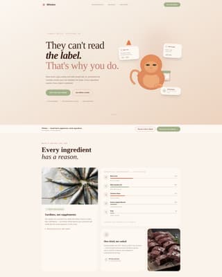 Cat Specialist Professional Website Template