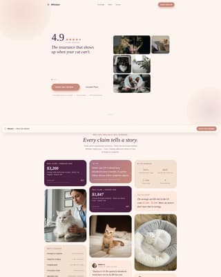 Cat Professional Website Template