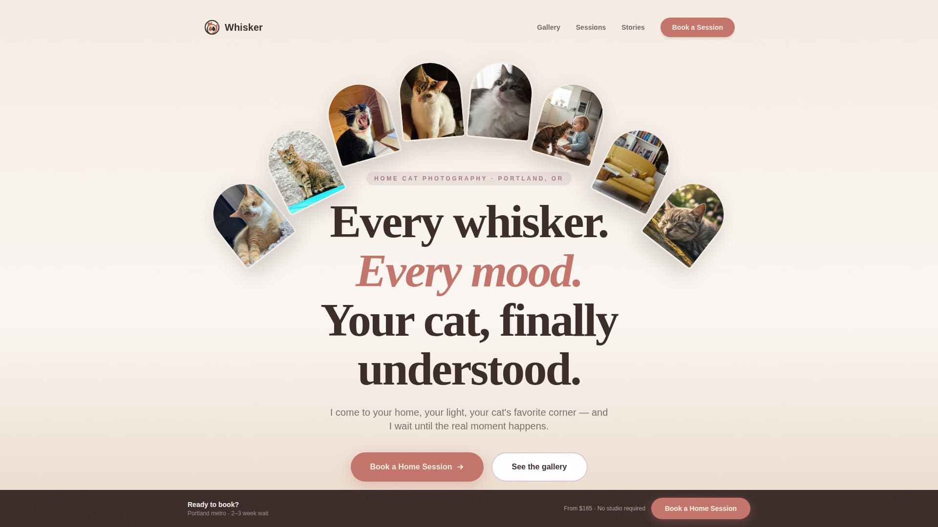 Cat Advanced Booking Website Template