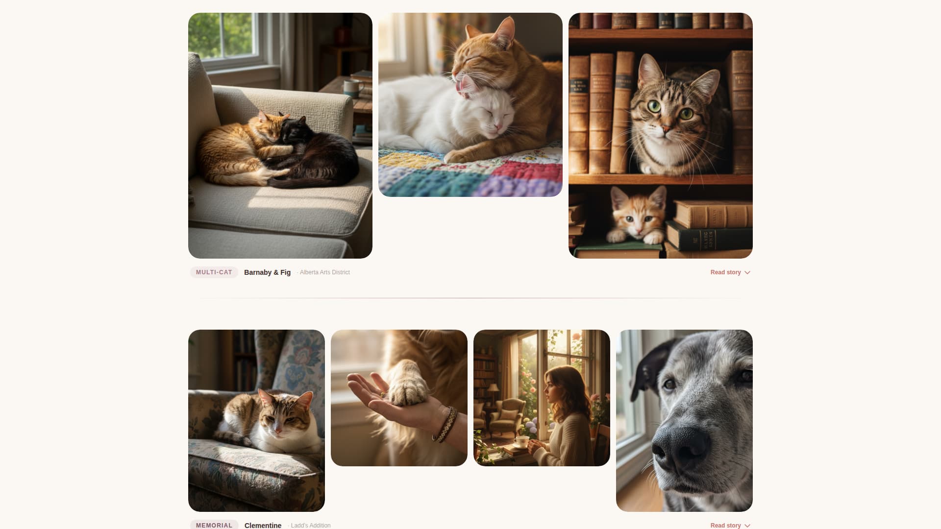 Cat Advanced Booking Website Template