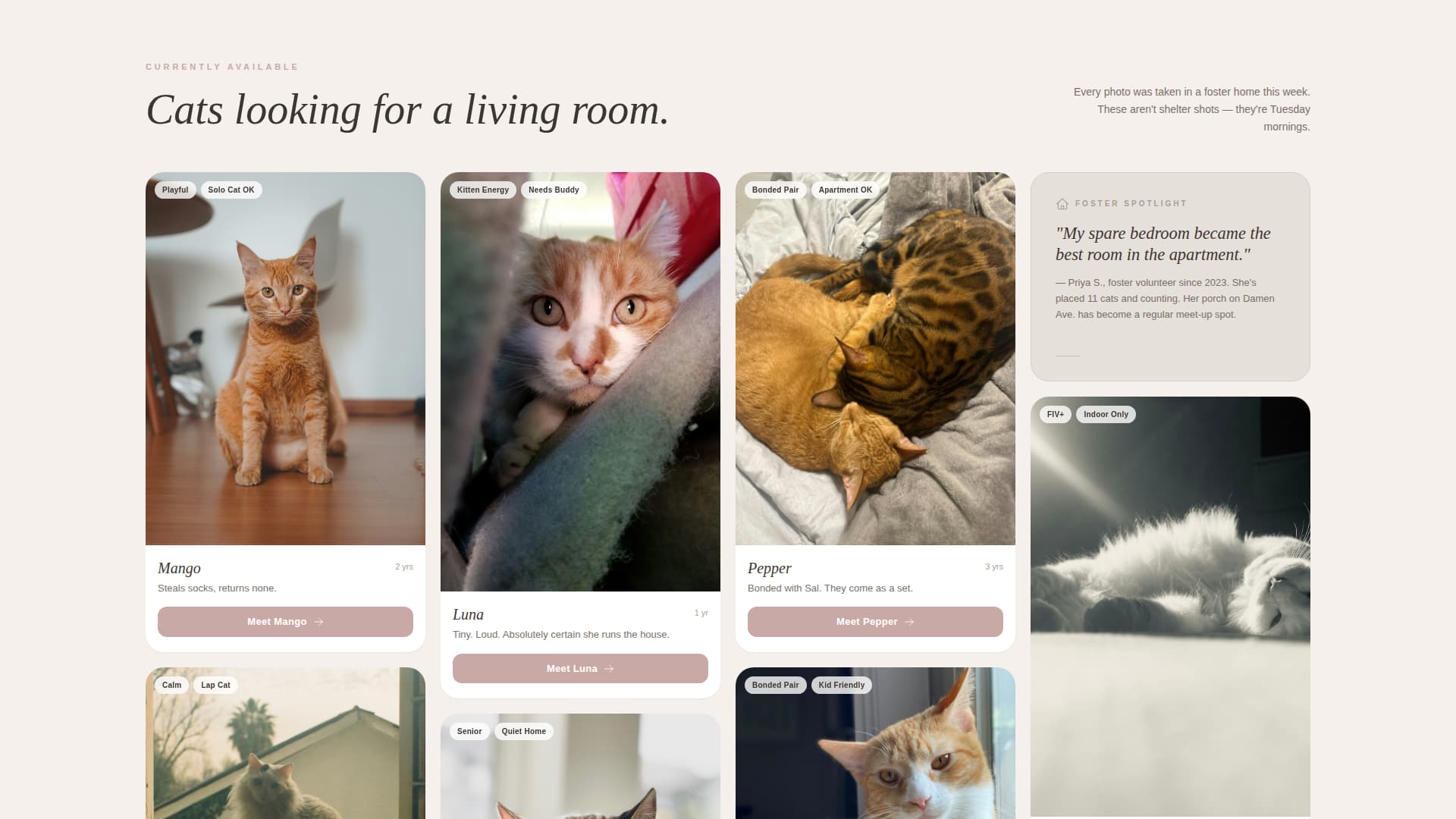 Whisker - Heartwarming Adoption Landing Page Template