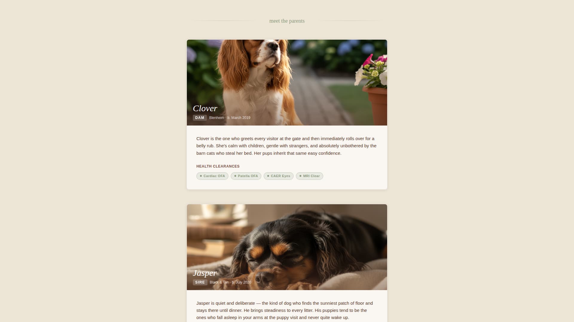 Dog Professional Website Template