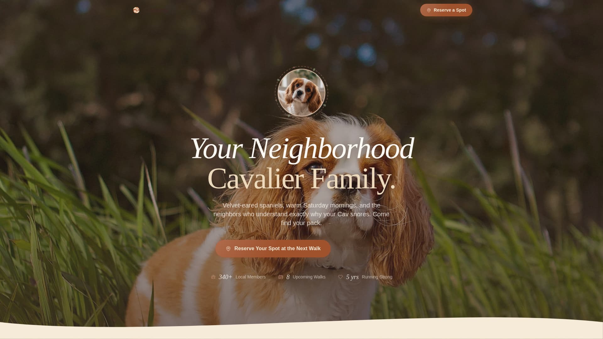 Dog Residential Booking Website Template