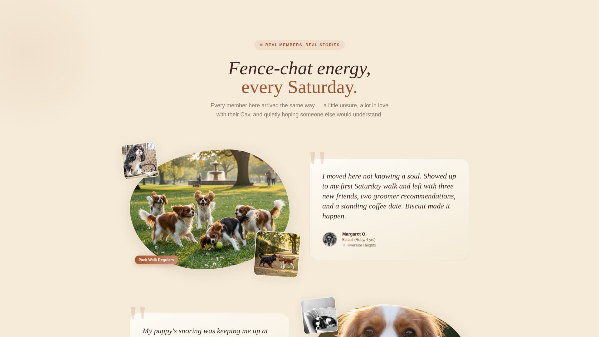 Dog Residential Booking Website Template