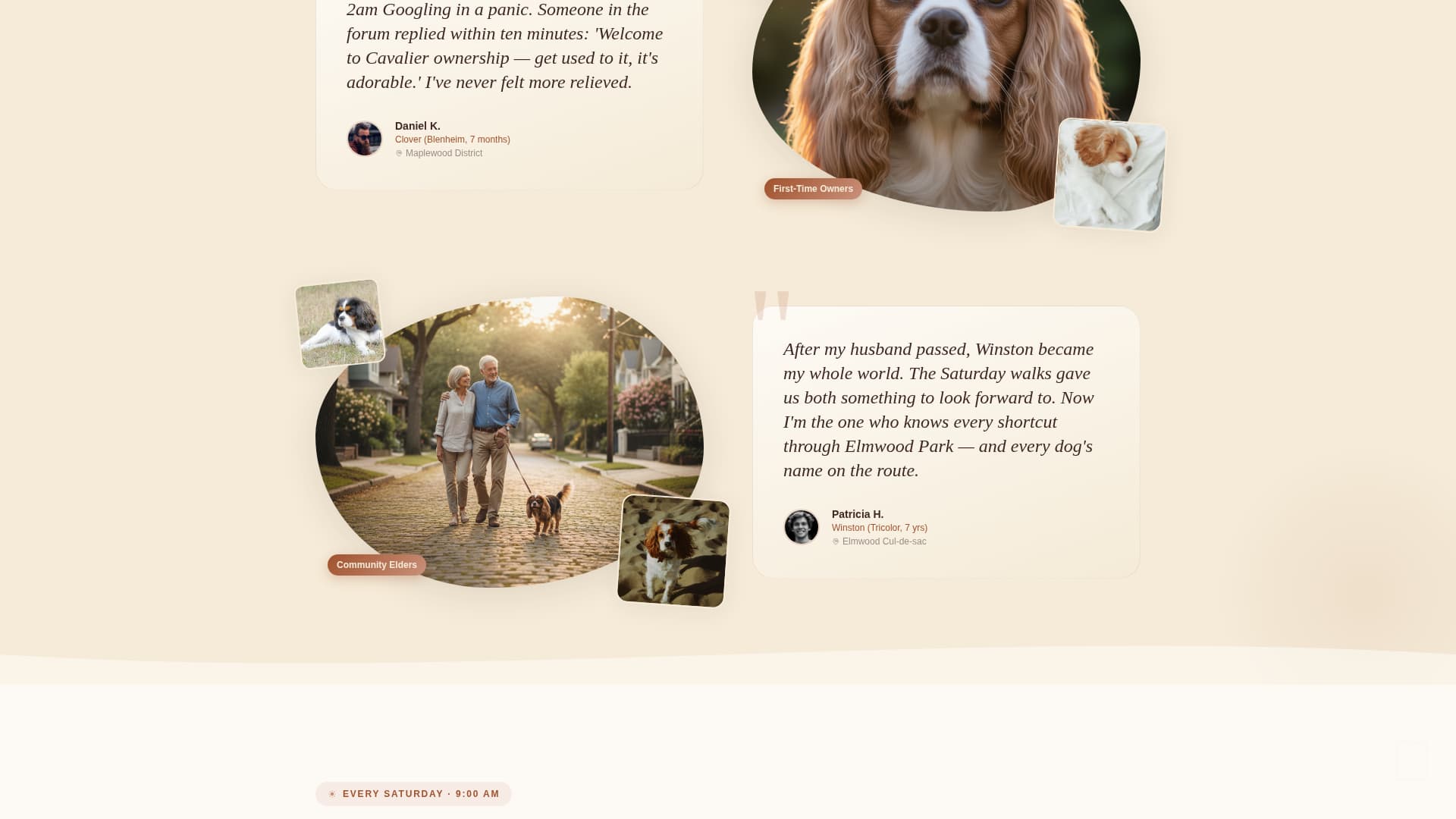 Dog Residential Booking Website Template
