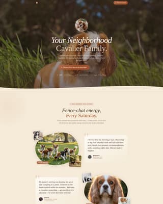 Dog Residential Booking Website Template