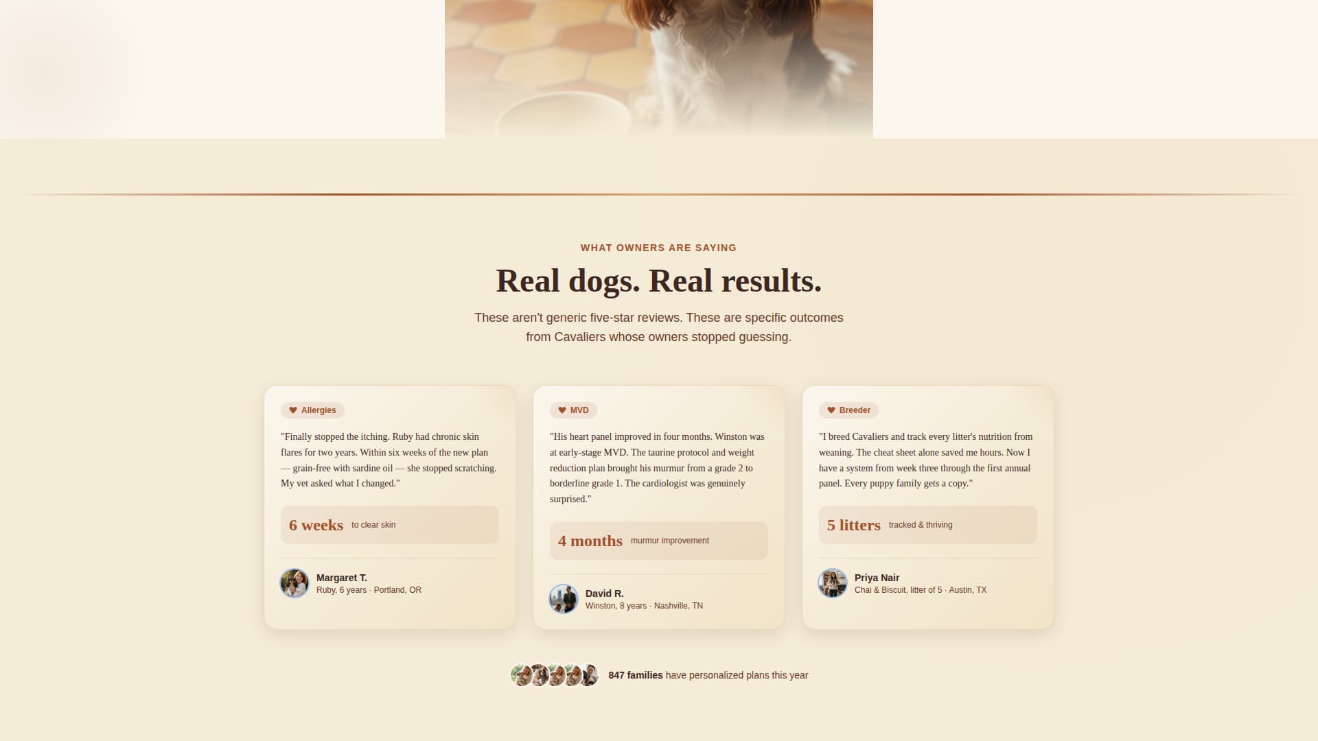 Dog Independent Booking Website Template