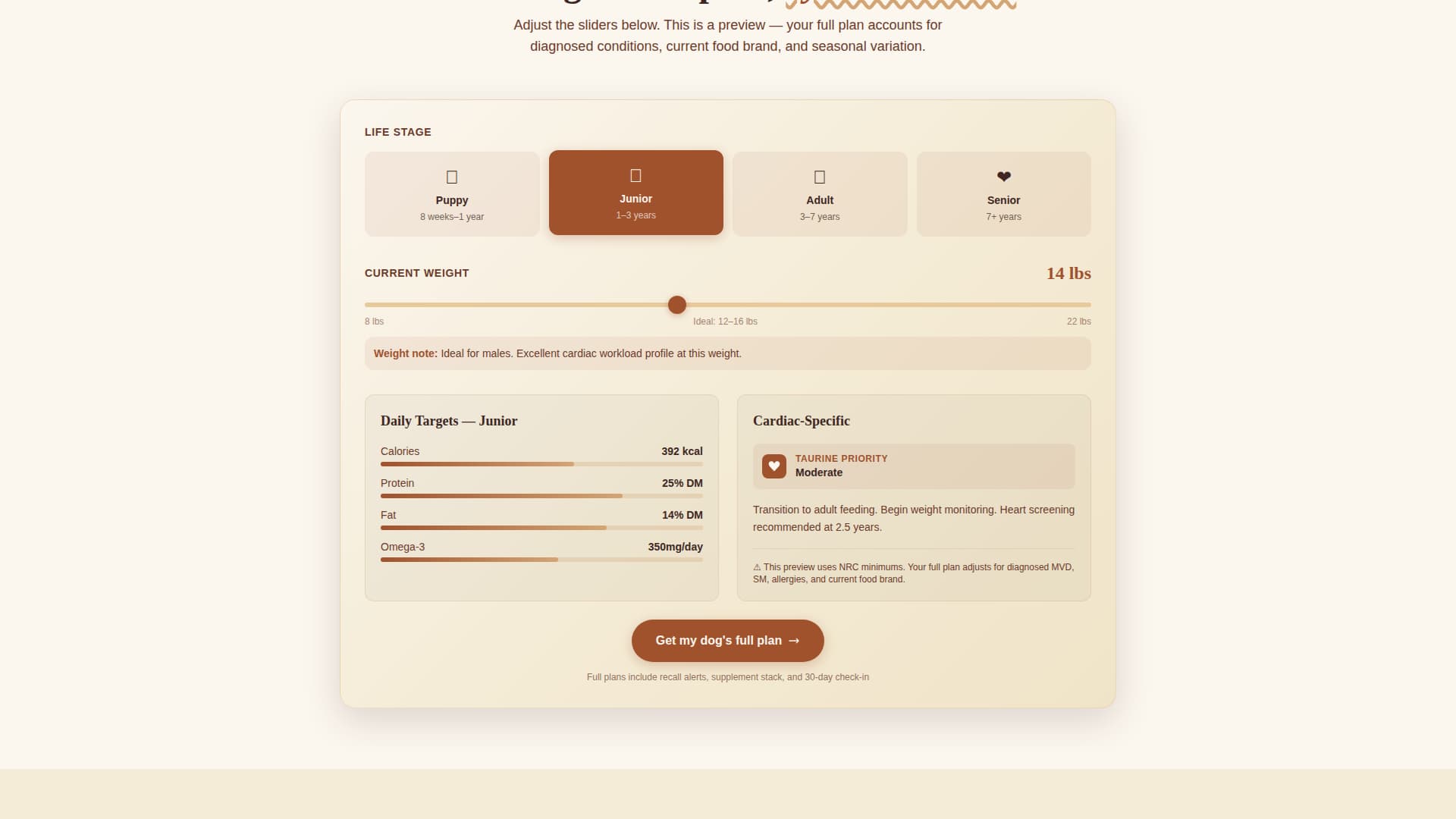 Dog Independent Booking Website Template