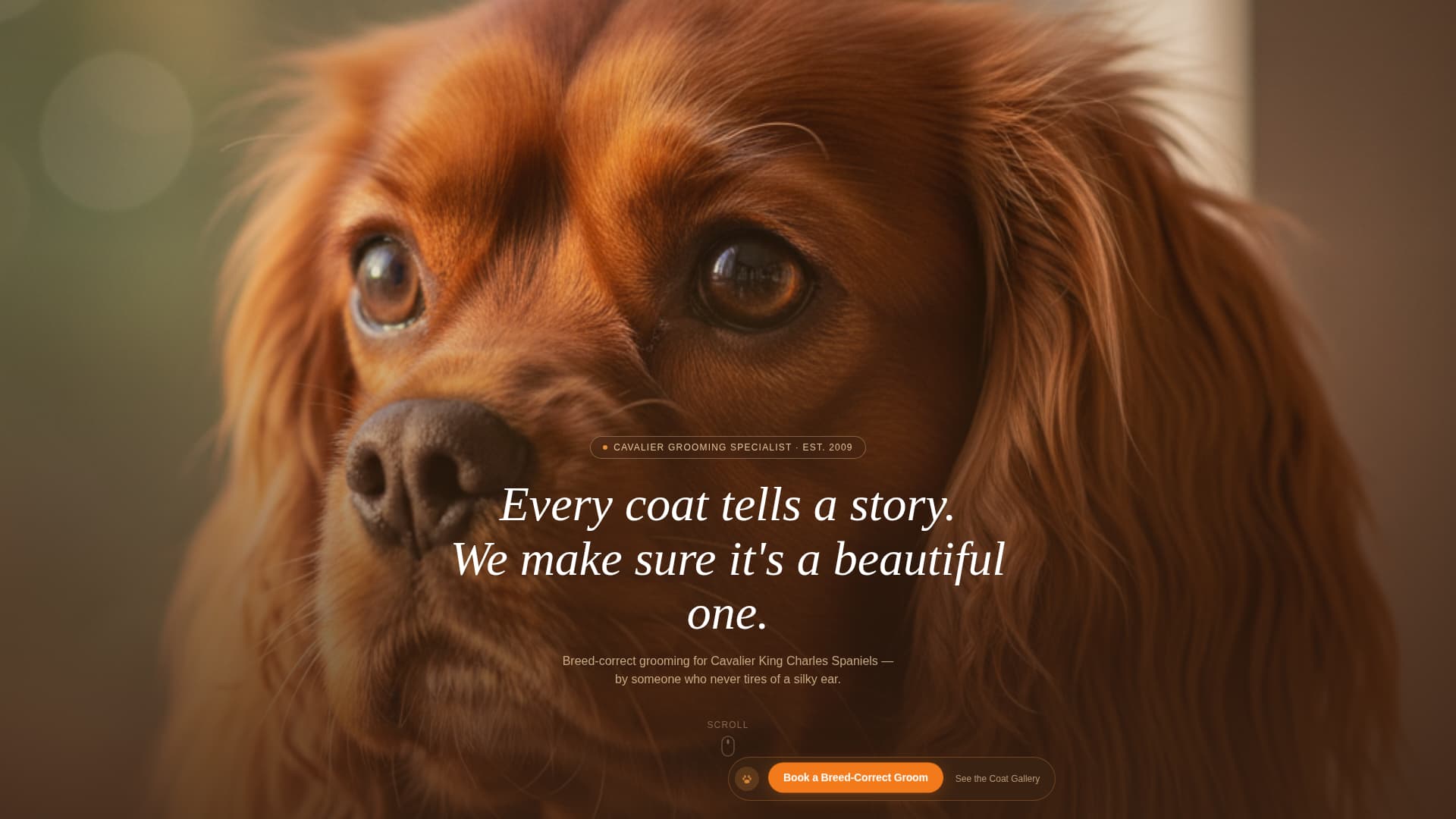 Dog Commercial Booking Website Template