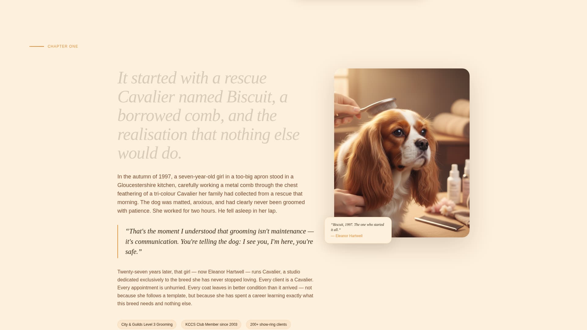 Dog Commercial Booking Website Template