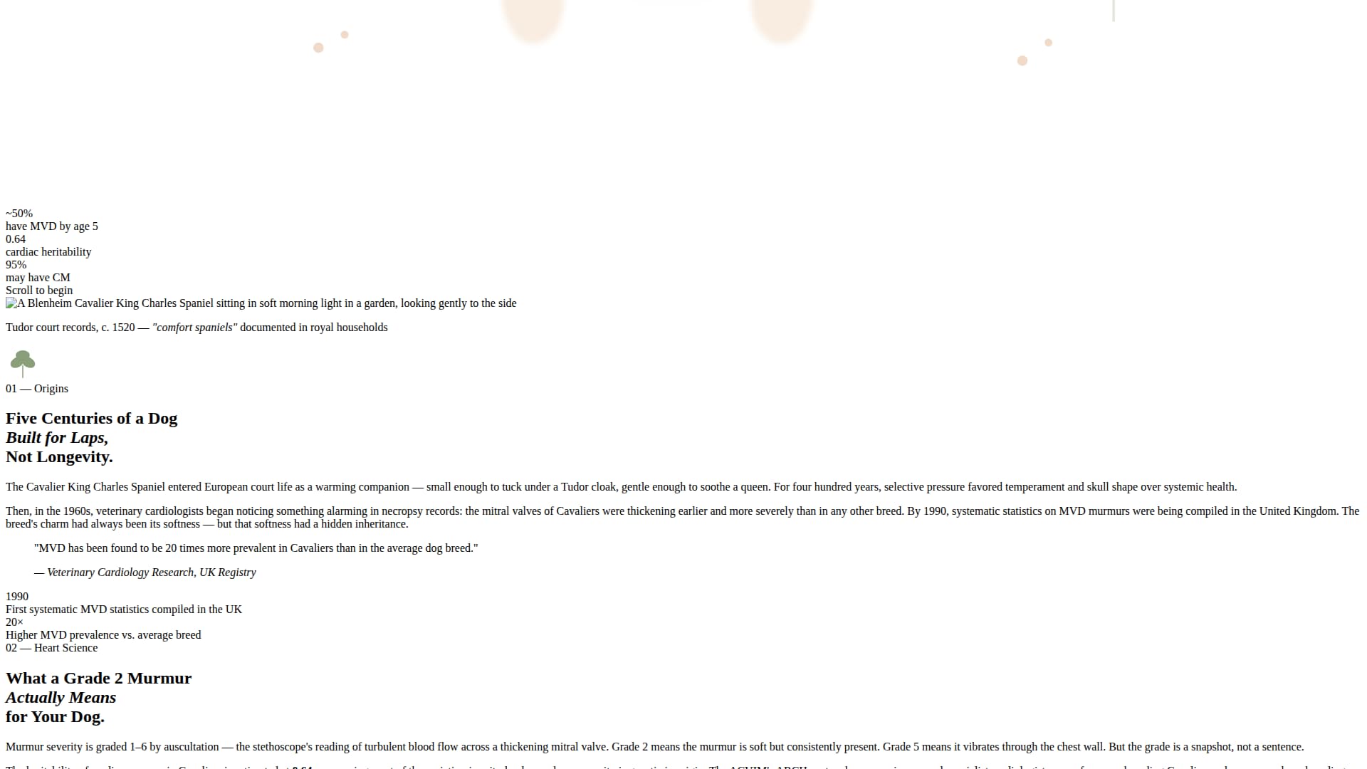 Dog Advanced Blog Website Template