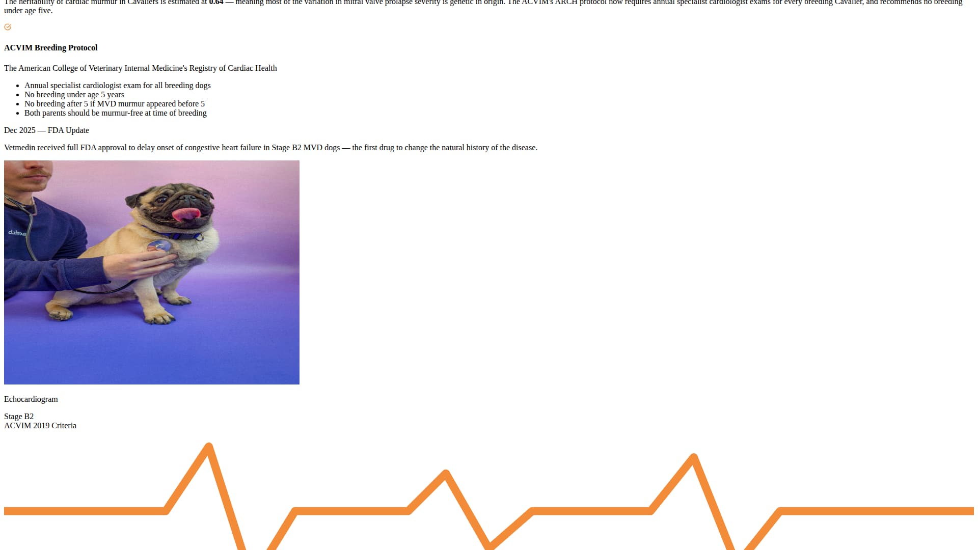 Dog Advanced Blog Website Template