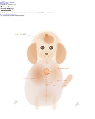 Dog Advanced Blog Website Template