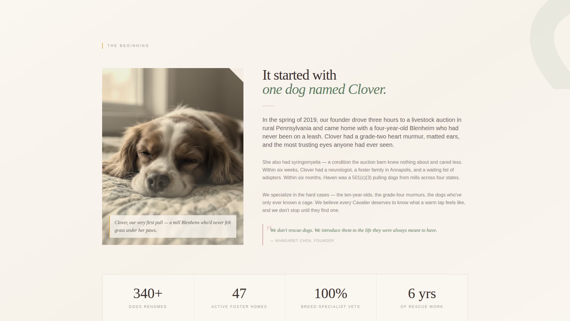 Dog Residential Professional Website Template