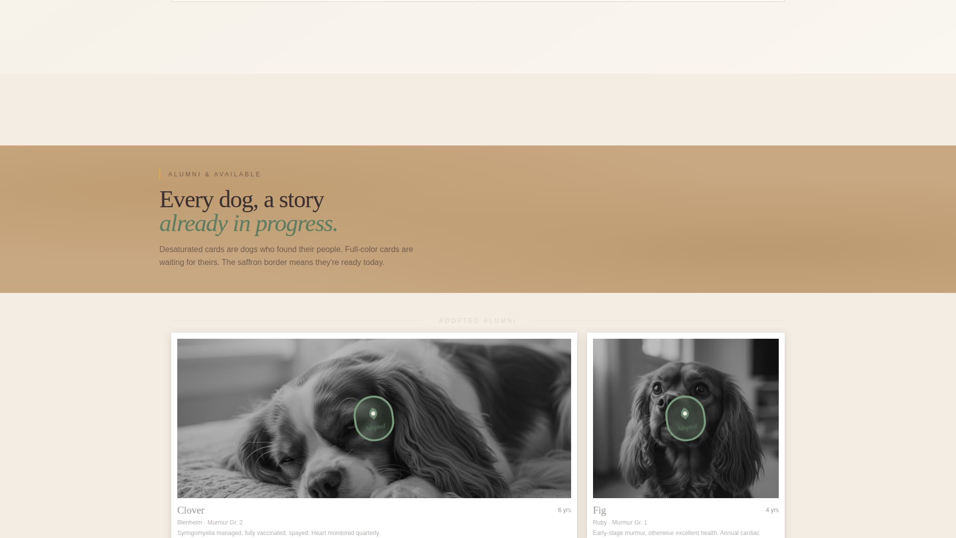 Dog Residential Professional Website Template