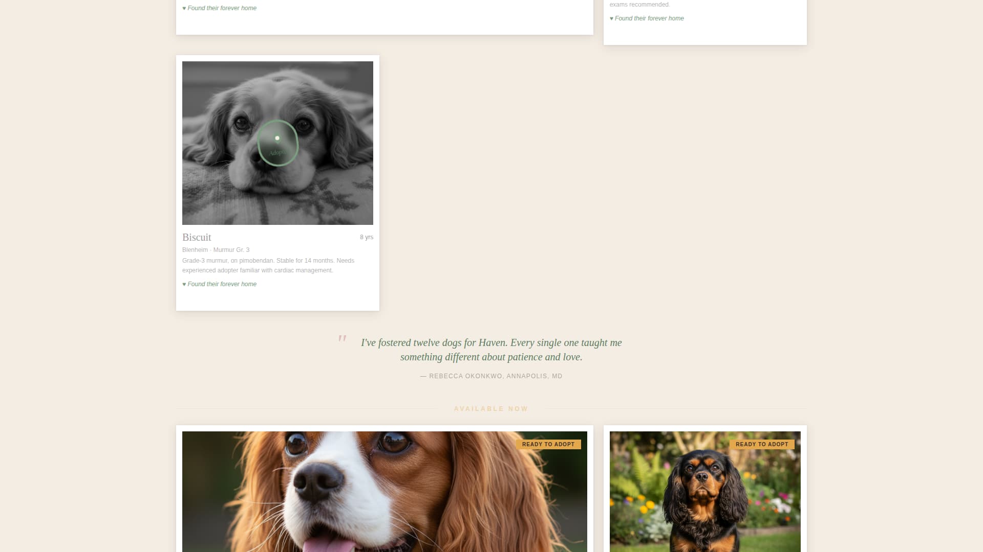 Dog Residential Professional Website Template