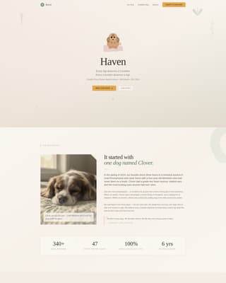 Dog Residential Professional Website Template