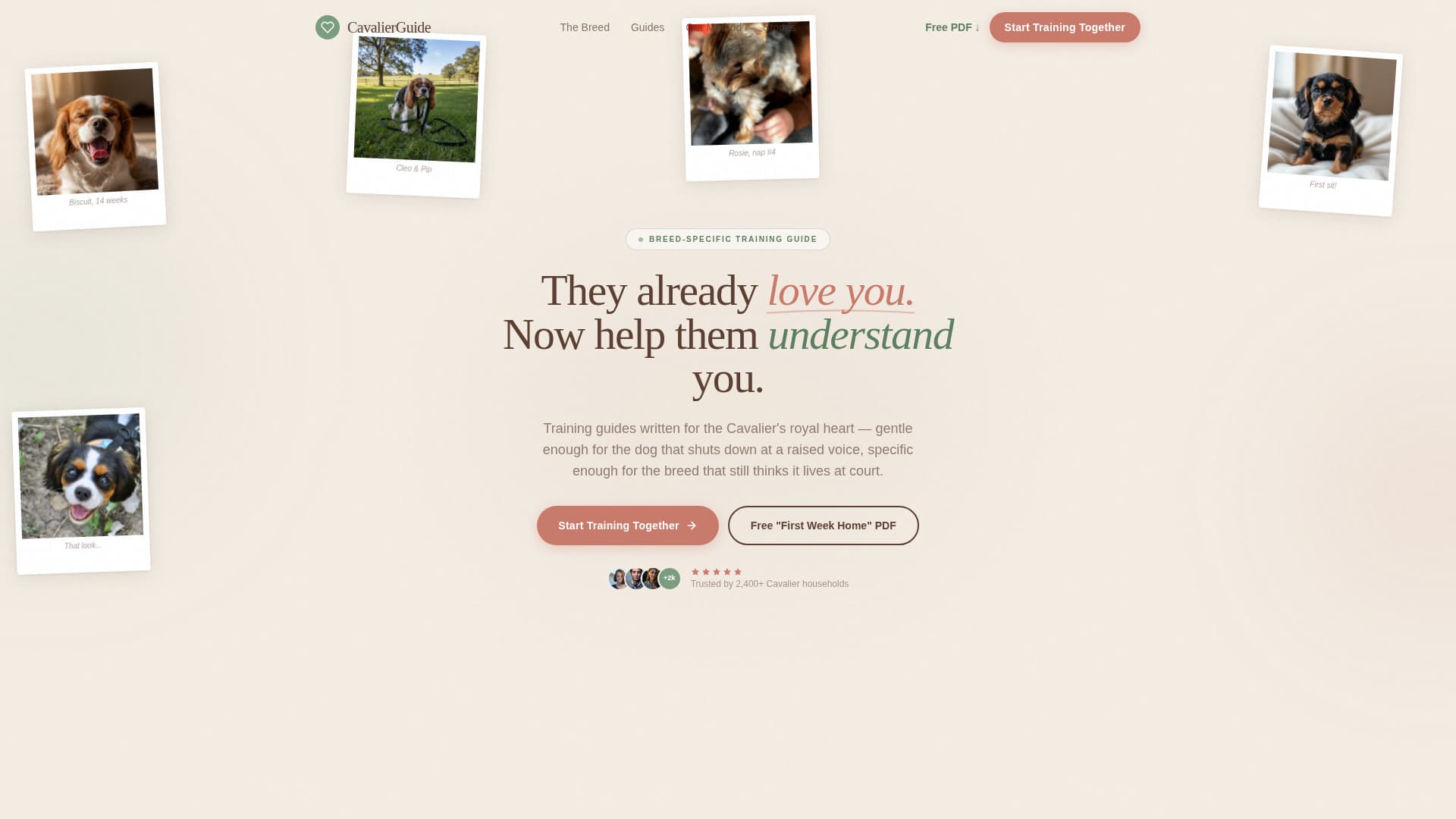 Dog Professional Website Template