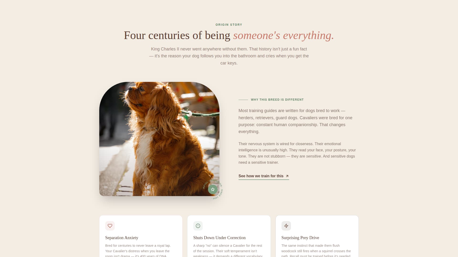 Dog Professional Website Template