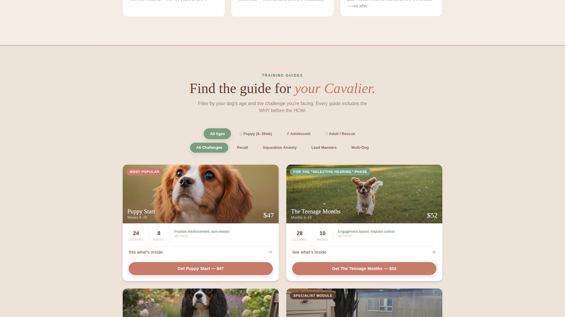 Dog Professional Website Template