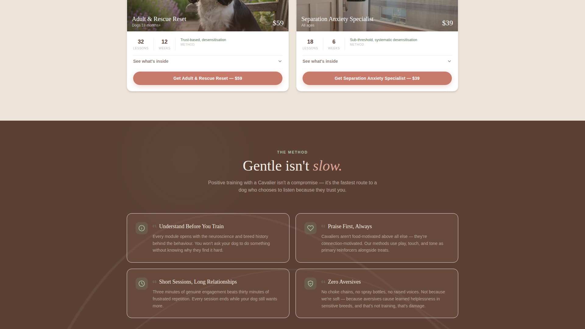 Dog Professional Website Template