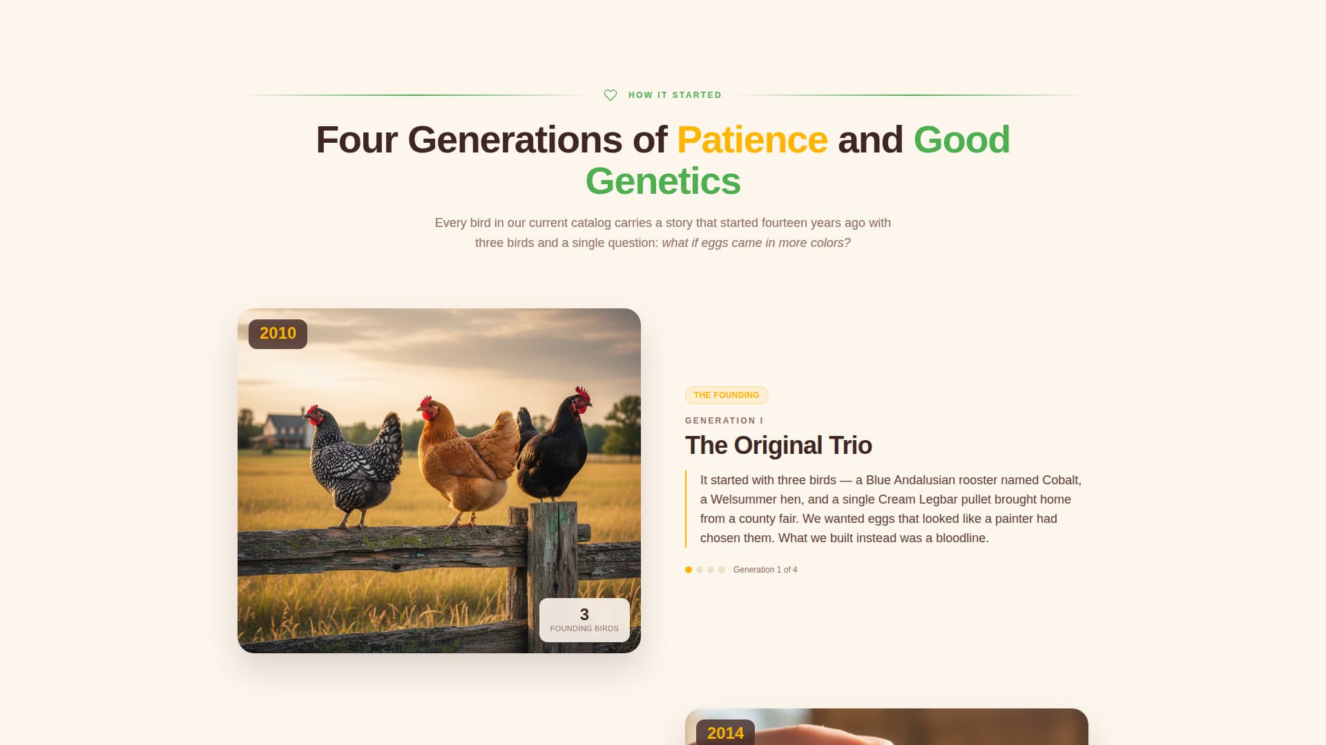 Chicken & Poultry Professional Website Template