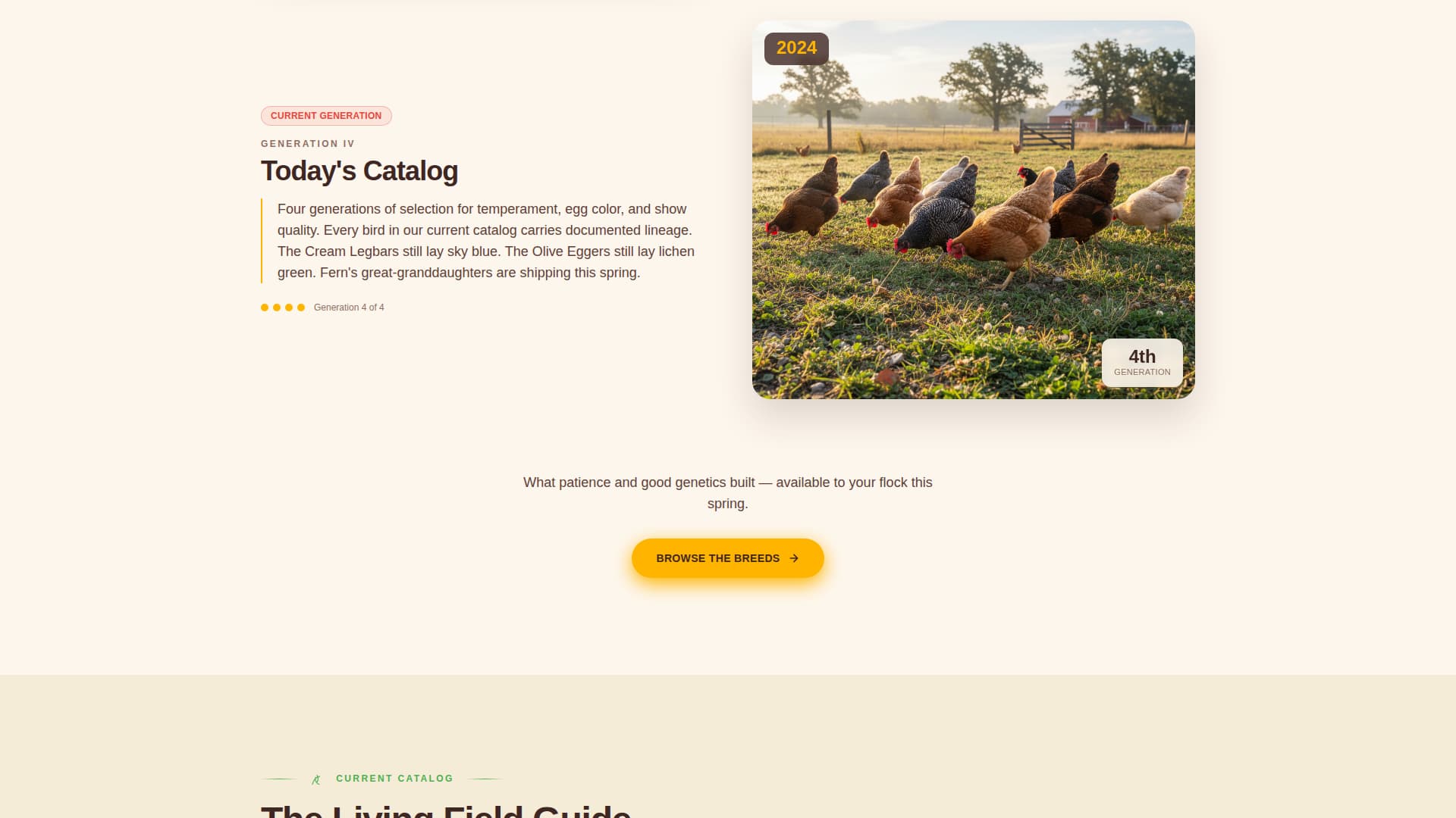 Chicken & Poultry Professional Website Template