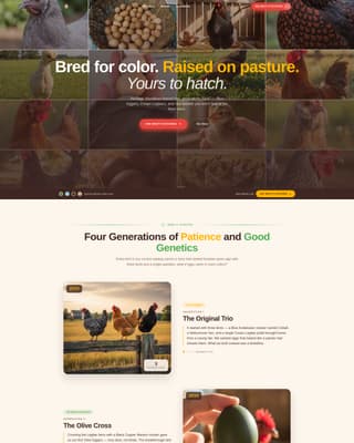 Chicken & Poultry Professional Website Template