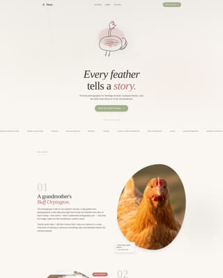 Chicken & Poultry Specialist Booking Website Template