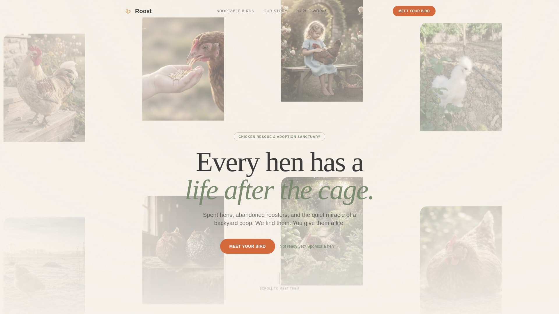 Chicken & Poultry Specialist Professional Website Template